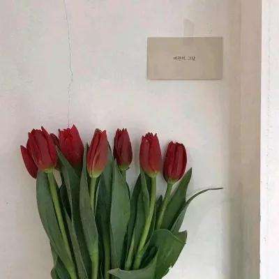 剑来世界华为版下载